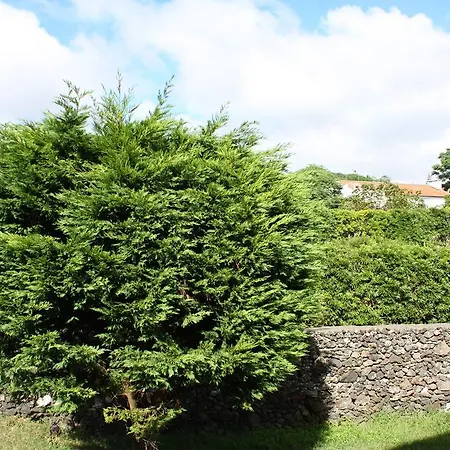 Mar E Serra * Ponta Delgada