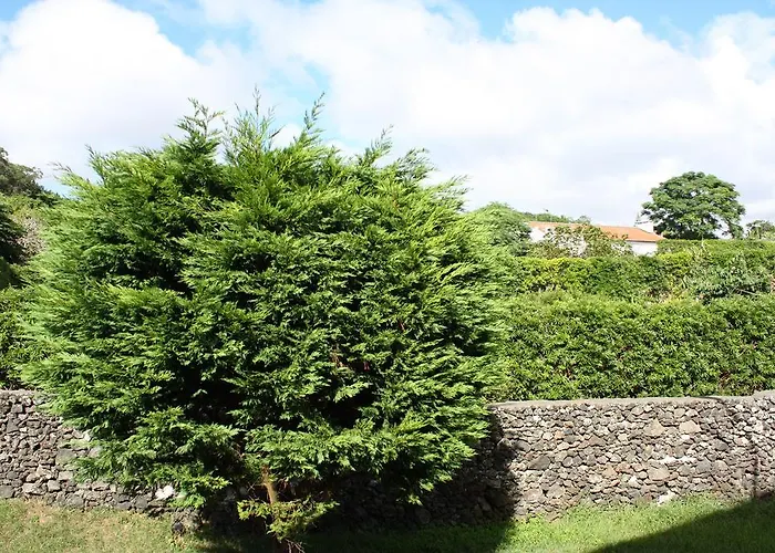 Mar E Serra * Πόντα Ντελγκάντα